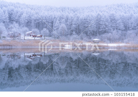 《Nagano Prefecture》Lake Nakamaki in the snowy landscape, rime forest and reflection of the lake 103155418