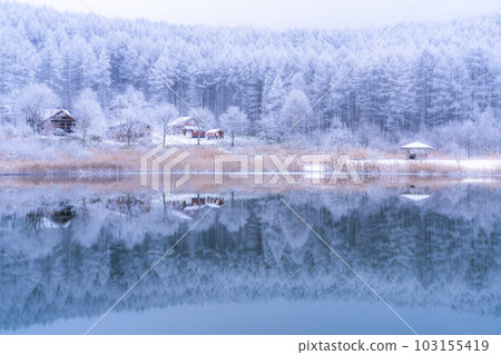 《長野縣》雪景中的中卷湖、霧凇林和湖面倒影 103155419