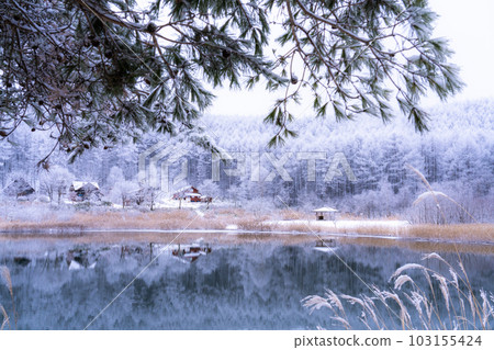 《長野縣》雪景中的中卷湖、霧凇林和湖面倒影 《長野縣》雪景中的中卷湖、霧凇林和湖面倒影 103155424