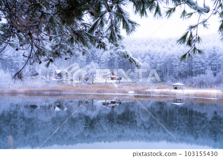 《長野縣》雪景中的中卷湖、霧凇林和湖面倒影 103155430