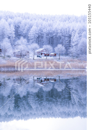 《長野縣》雪景中的中卷湖、霧凇林和湖面倒影 103155440