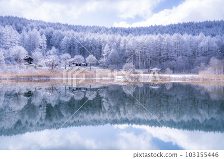 《長野縣》雪景中的中卷湖、霧凇林和湖面倒影 103155446