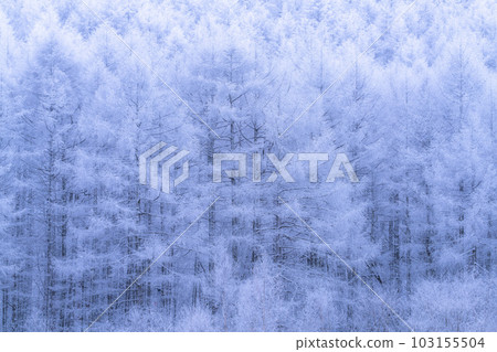《長野縣》中卷湖雪景/白霜之森 《長野縣》中卷湖雪景/白霜之森 103155504