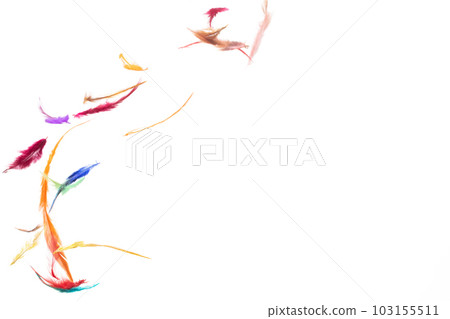 Many color Feather fly fall beautiful spiral pattern in air over black background isolated. Puffy Fluffy soft feathers like dream floating dove in sky. Colorful feathers are so light and delicate Many color Feather fly fall beautiful spiral pattern in air over black background isolated. Puffy Fluffy soft feathers like dream floating dove in sky. Colorful feathers are so light and delicate 103155511