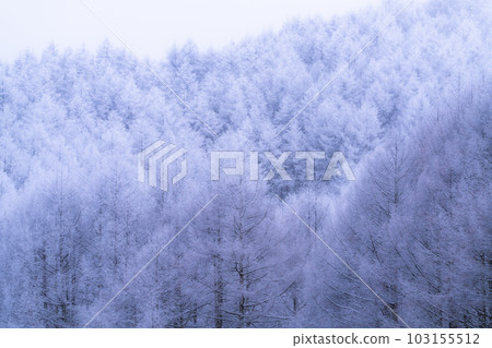 《長野縣》中卷湖雪景/白霜之森 103155512