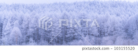 《Nagano Prefecture》Lake Nakamaki Snow Scenery / Forest of Hoarfrost 103155520