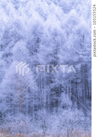 《長野縣》中卷湖雪景/白霜之森 103155524