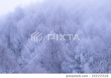 《長野縣》中卷湖雪景/白霜之森 103155526