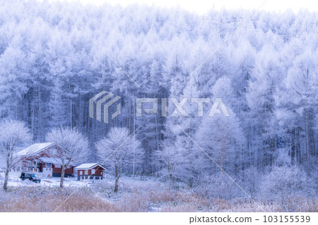 《長野縣》中卷湖雪景/白霜之森 103155539