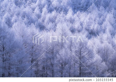 《長野縣》中卷湖雪景/白霜之森 103155545