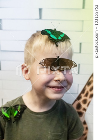 Emerald swallowtail butterfly and papilio polytes sit on a child face. The blond boy looks into the frame in surprise. Tropical harmless insects. Emerald swallowtail butterfly and papilio polytes sit on a child face. The blond boy looks into the frame in surprise. Tropical harmless insects. 103155752