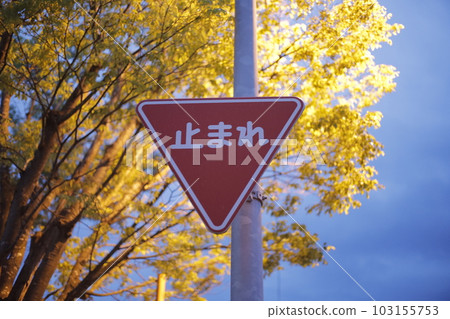 停止標誌 103155753