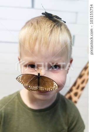 Emerald swallowtail butterfly and papilio polytes sit on a child face. The blond boy looks into the frame in surprise. Tropical harmless insects. 103155754