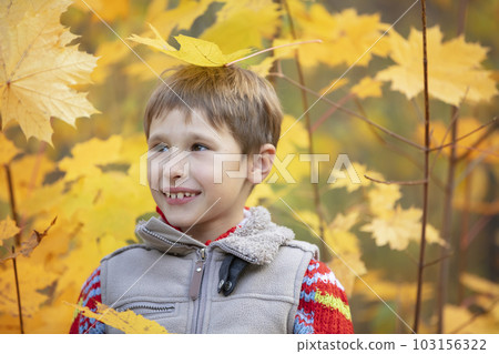A child with autumn maple leaves. A boy on a walk. Autumn season A child with autumn maple leaves. A boy on a walk. Autumn season 103156322