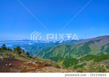 春天從神奈川縣秦野市丹澤市山王山頂休息處西側的富士山 春天從神奈川縣秦野市丹澤市山王山頂休息處西側的富士山 103156693
