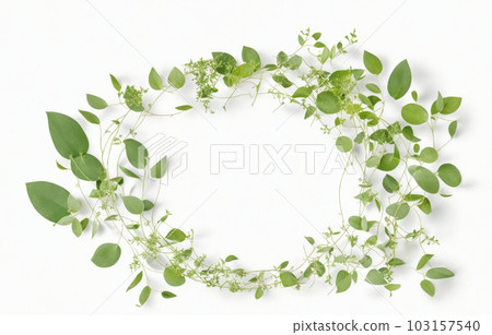 綠色框架 103157540