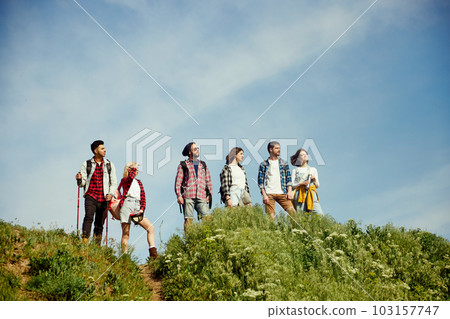 Group of friends walking in meadow on warm, sunny, summer day. Young people standing on hill and enjoying nature, landscape 103157747