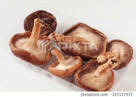 Shiitake Mushrooms Shiitake Mushrooms 103157977