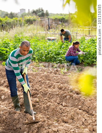 Indian man gardener working at land with garden mattock Indian man gardener working at land with garden mattock 103158385