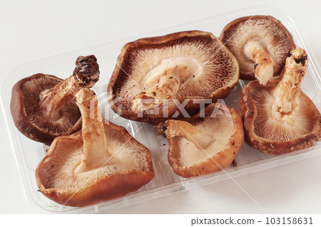 Shiitake Mushrooms 103158631