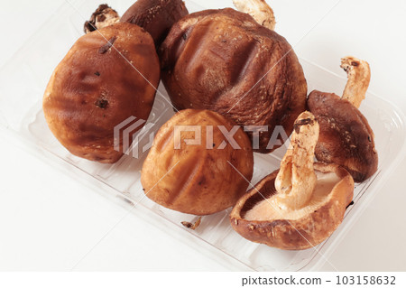 Shiitake Mushrooms Shiitake Mushrooms 103158632