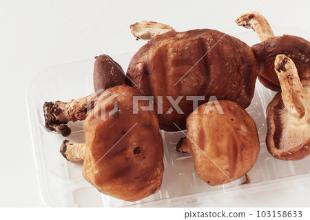 Shiitake Mushrooms Shiitake Mushrooms 103158633
