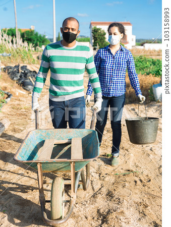 Man and woman in protective mask with garden wheelbarrow and bucket walk in farm field 103158993