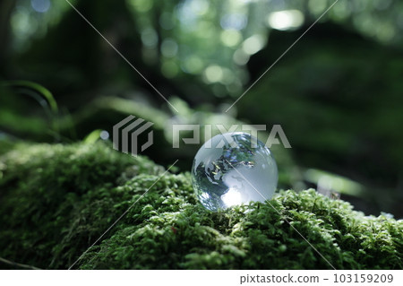Eco Image Forest Glass Earth 103159209