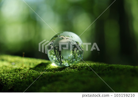 Eco Image Forest Glass Earth 103159210