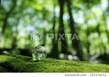 Eco Image Forest Glass Earth Eco Image Forest Glass Earth 103159212