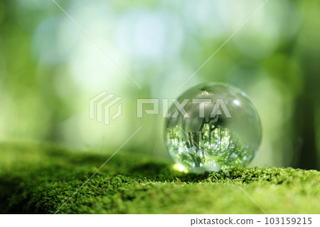 Eco Image Forest Glass Earth 103159215