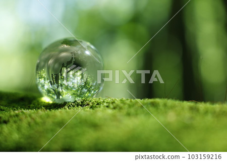 Eco Image Forest Glass Earth 103159216