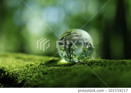 Eco Image Forest Glass Earth 103159217