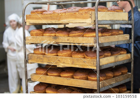 Upright lots of bread on pallets. Industrial production of bread. Upright lots of bread on pallets. Industrial production of bread. 103159558