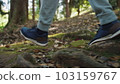 One Man Backpacking in Forest Park Nature and Walking on Footpath. Concept of Joyful Exercising Person Outdoors on Woodland Hill Close-up. Travel Foot Way and Landscape of Trees on Ground in Sunshine 103159767