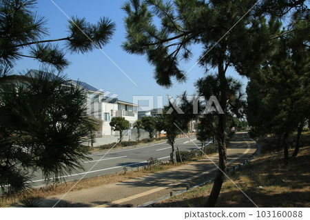 Townscape of Ryofu-cho, Ashiya City, Hyogo Prefecture seen from the pine forest 103160088