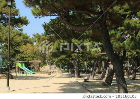 日本公園:有鬆樹林的蘆屋公園(兵庫縣蘆屋市) 日本公園:有鬆樹林的蘆屋公園(兵庫縣蘆屋市) 103160105