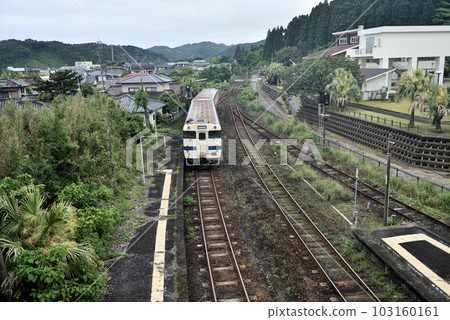 A train stopping at Aoshima Station on the Nichinan Line 103160161