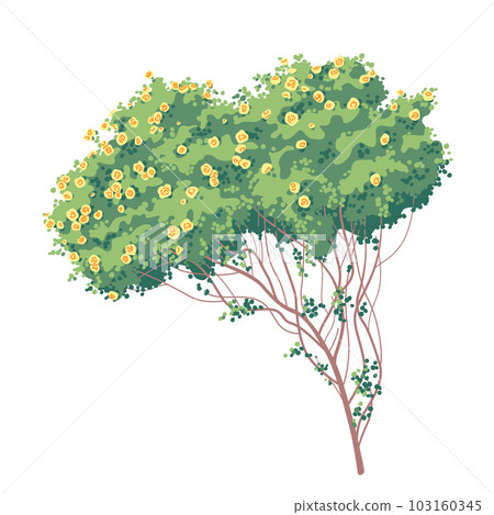Simple Old Bush with Yellow Roses Simple Old Bush with Yellow Roses 103160345