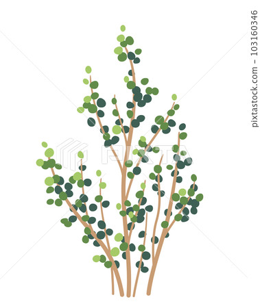 Simple Bush with Green Leaves Isolated Simple Bush with Green Leaves Isolated 103160346