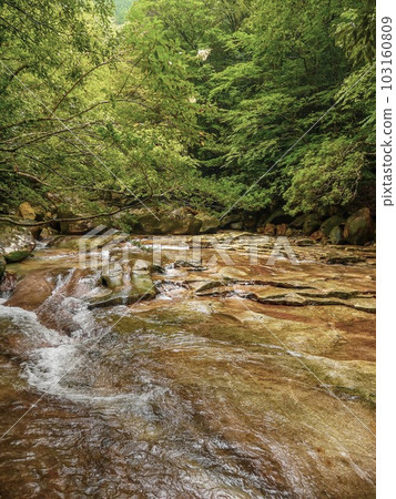 Fujikochi Valley 103160809