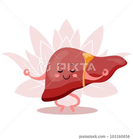 Cute cheerful cartoon character of healthy human liver in yoga pose. Human anatomy, medical concept. Illustration, icon, vector 103160856