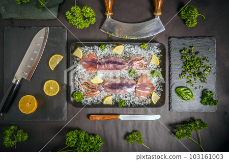 Uncooked fresh cuttlefish Uncooked fresh cuttlefish 103161003