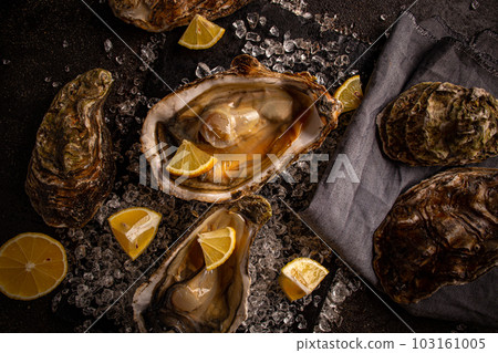 Fresh oysters close-up Fresh oysters close-up 103161005