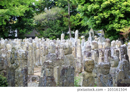 Five hundred 103161504