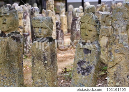 Five hundred Five hundred 103161505