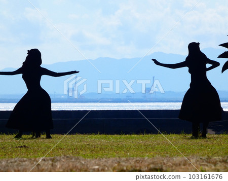 hula hula 103161676