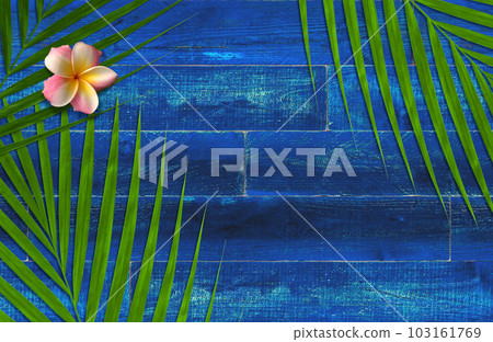 Cobalt blue wooden deck with tropical flowers and leaves background Cobalt blue wooden deck with tropical flowers and leaves background 103161769