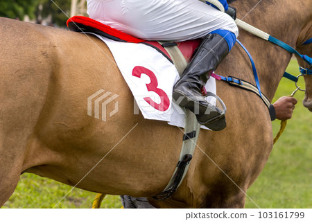 Race horse number three. 103161799