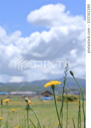 Cumulonimbus clouds and mountains in the spring blue sky 103162266